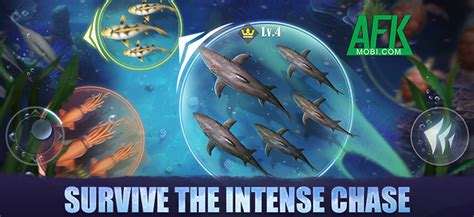 top fish: ocean game mod apk|Top Fish: Ocean Game for Android .